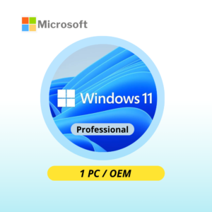 Windows 11 Professional OEM