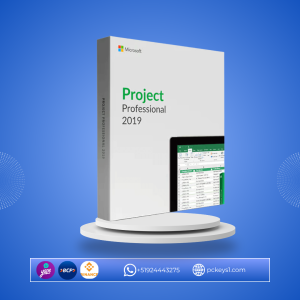 PROJECT PROFESSIONAL PLUS 2019 BIND