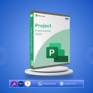 PROJECT PROFESSIONAL 2024 BIND