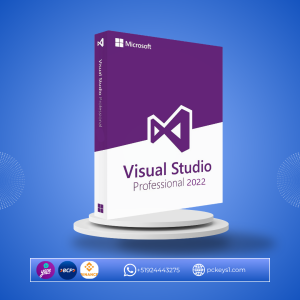 Visual Studio Professional