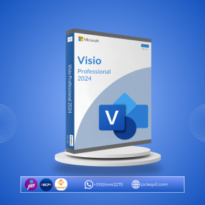 VISIO PROFESSIONAL 2024 BIND